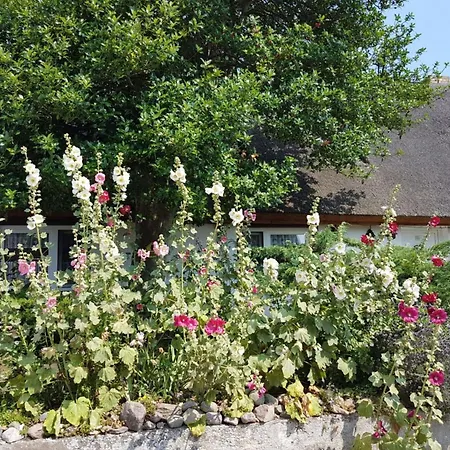 Modern Near Seabeach